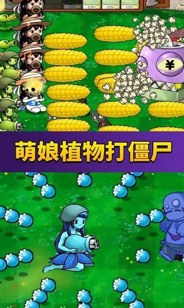 曾黎工作室再道歉
